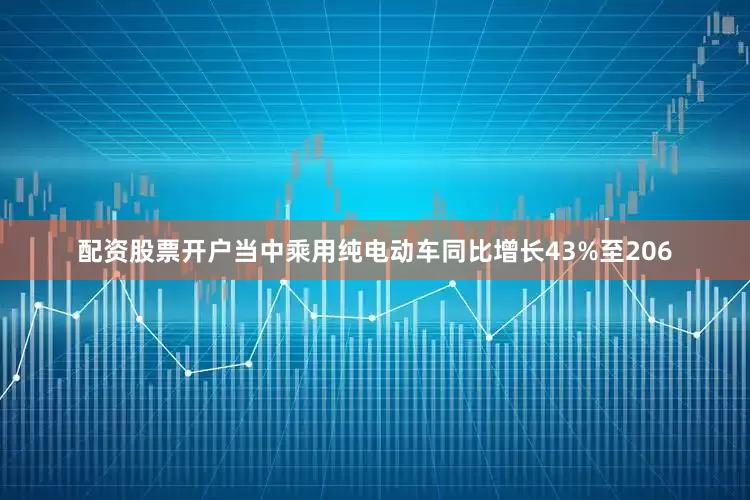 配资股票开户当中乘用纯电动车同比增长43%至206