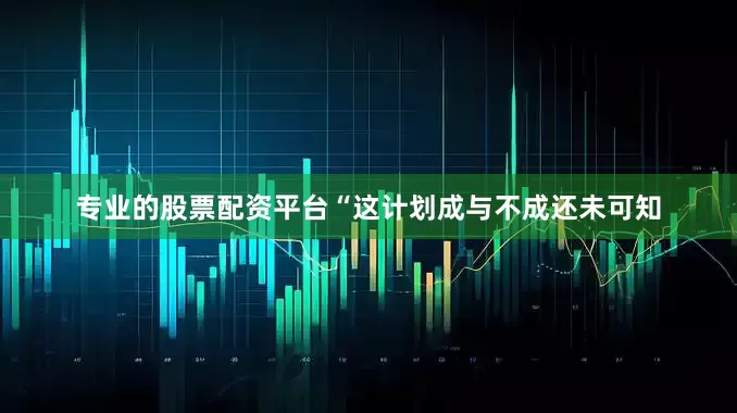 专业的股票配资平台“这计划成与不成还未可知