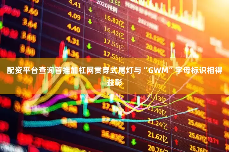 配资平台查询首推加杠网贯穿式尾灯与“GWM”字母标识相得益彰
